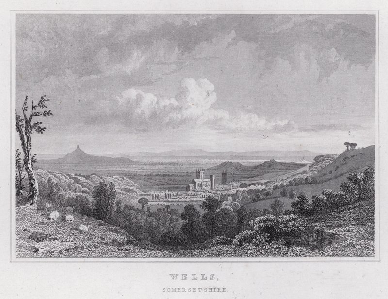 Wells, Somersetshire (rytina) od Thomas Hosmer Shepherd