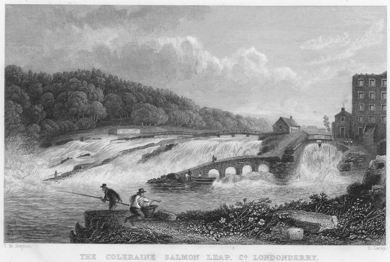 The Coleraine Salmon Leap, County Londonderry (rytina) od Thomas Mann (after) Baynes