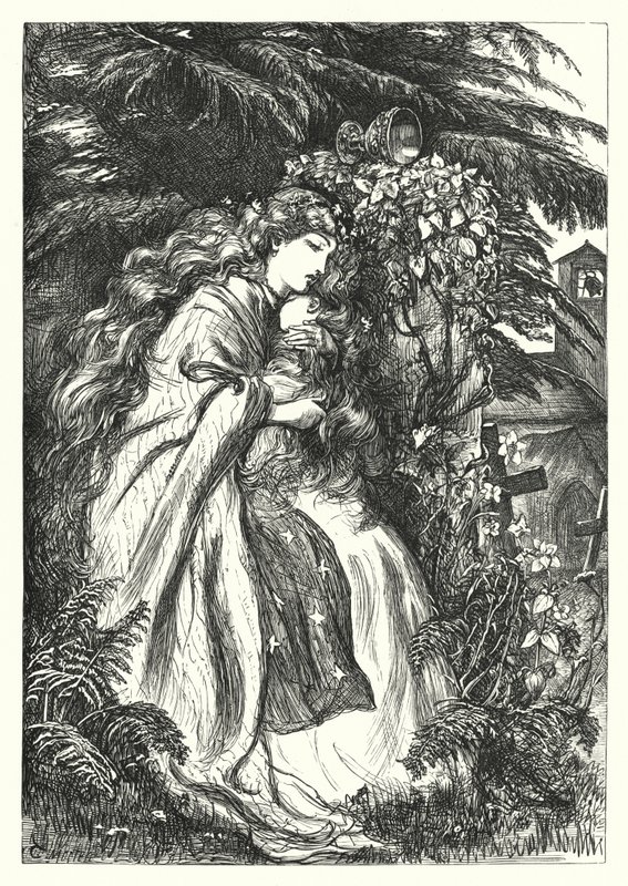 Castle Clare (rytina) od Thomas Morten