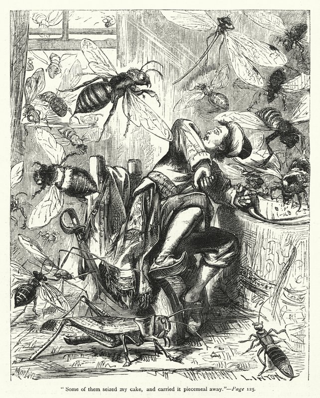 Ilustrace pro Gulliver