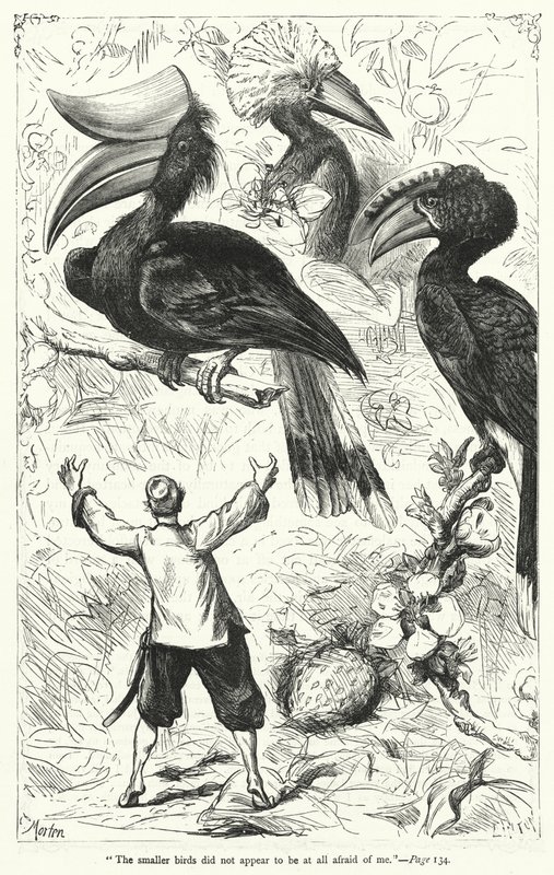 Ilustrace pro Gulliver