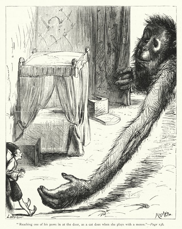 Ilustrace pro Gulliver