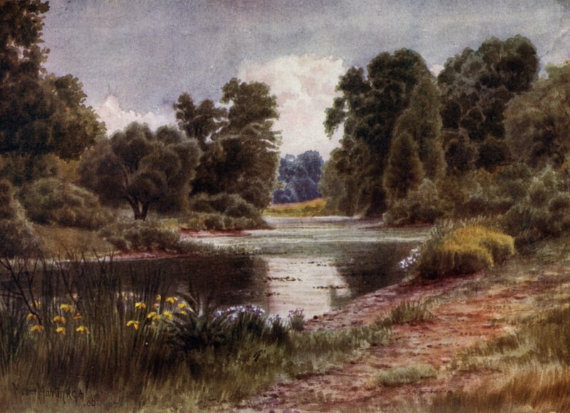 Kew Gardens: Jezero při pohledu na jih (barva lito) od Thomas Mower Martin