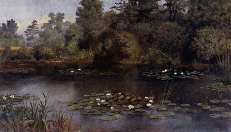 Závěsný od Thomas Mower Martin