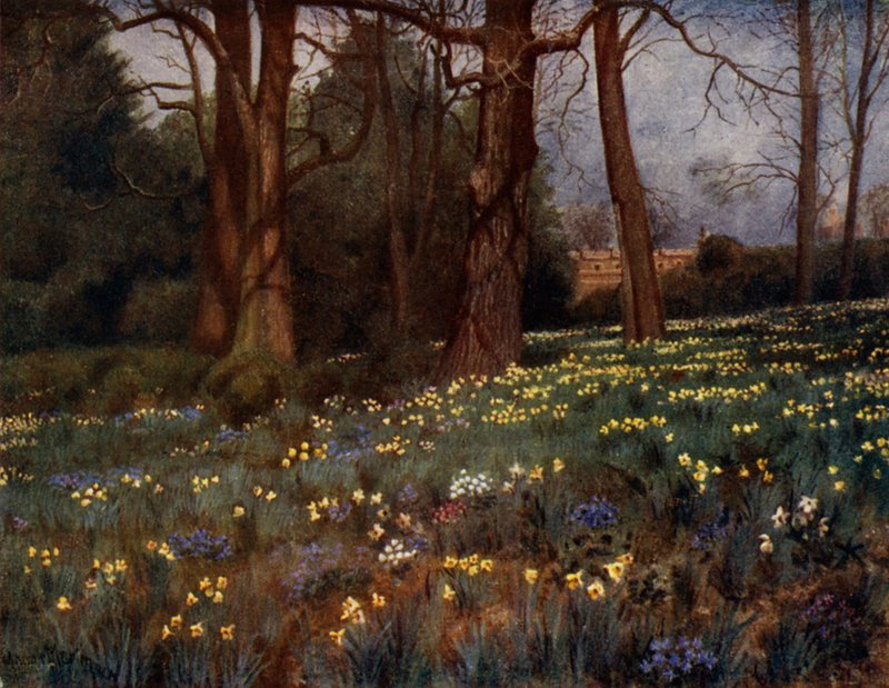 Kew Gardens: Divoká zahrada na jaře (barva lito) od Thomas Mower Martin