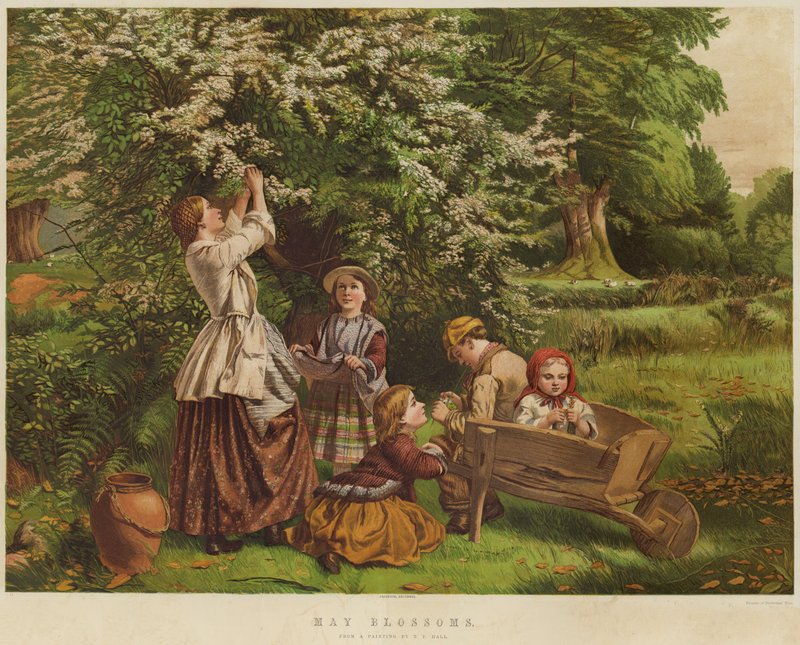 květní květy (chromolitho) od Thomas P. Hall