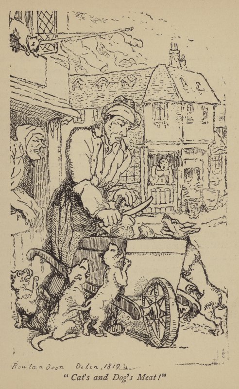 Maso pro kočky a psy! od Thomas Rowlandson