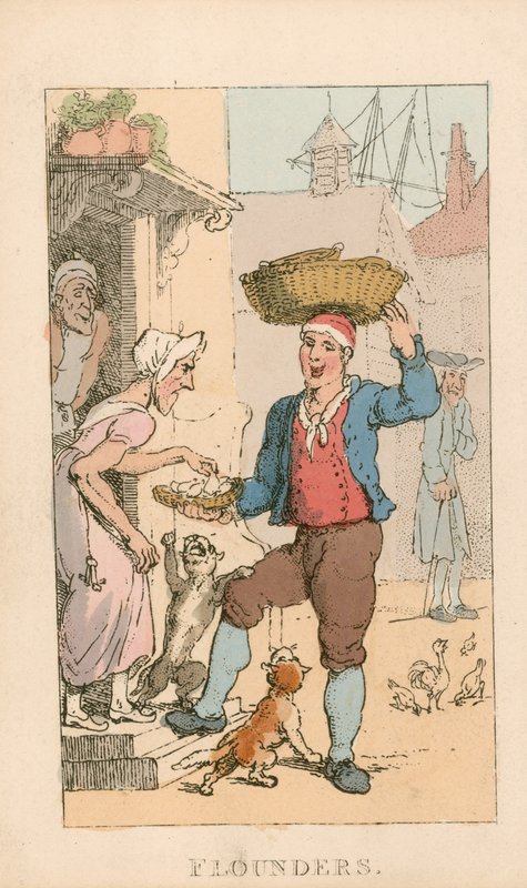 Platýs od Thomas Rowlandson