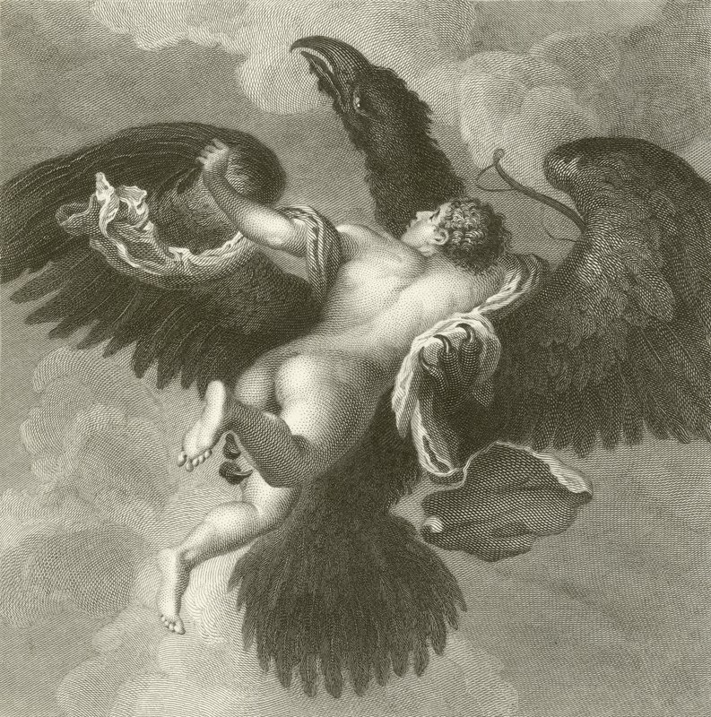 Ganymedes od Tiziano Vecelli