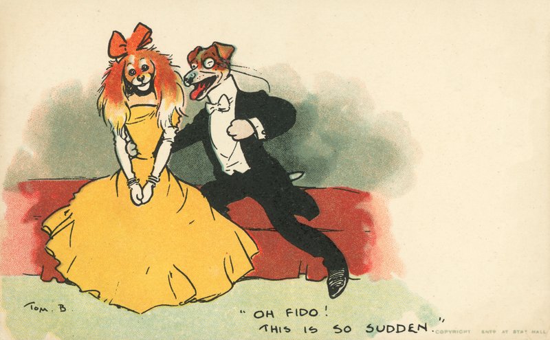 Psi oblečení jako romantický pár (barva litho) od Tom Browne