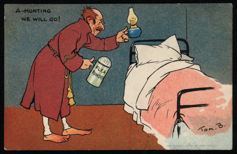 Muž loví blechy ve své posteli (chromolitho) od Tom Browne