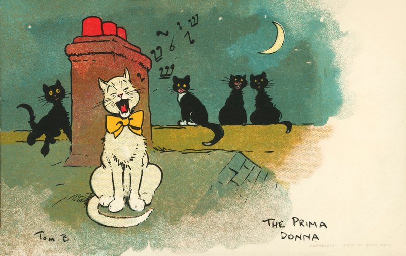 Prima donna (barevná litografie) od Tom Browne