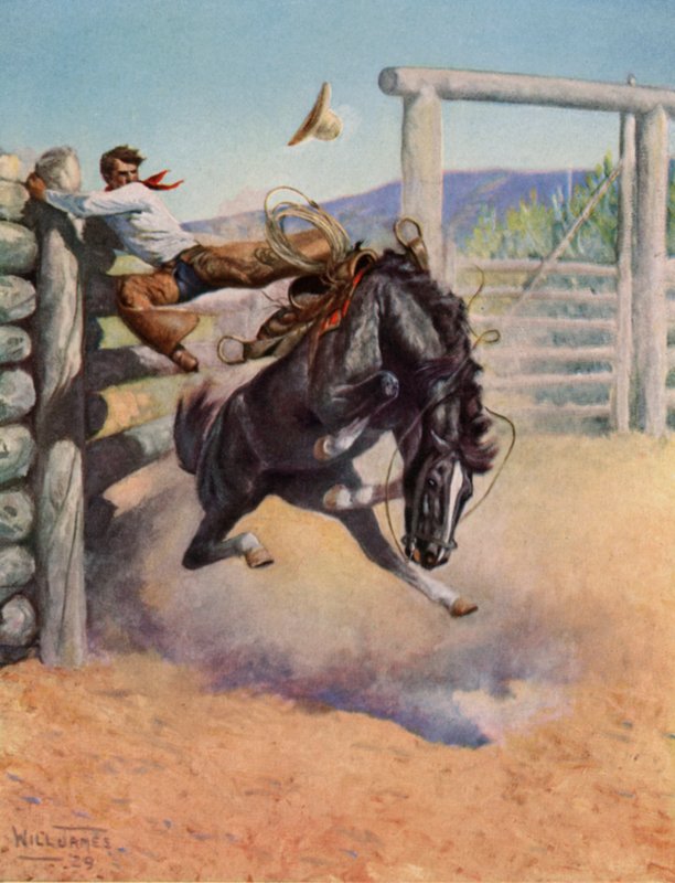 Smoky The Cow Horse od Unbekannt Unbekannt
