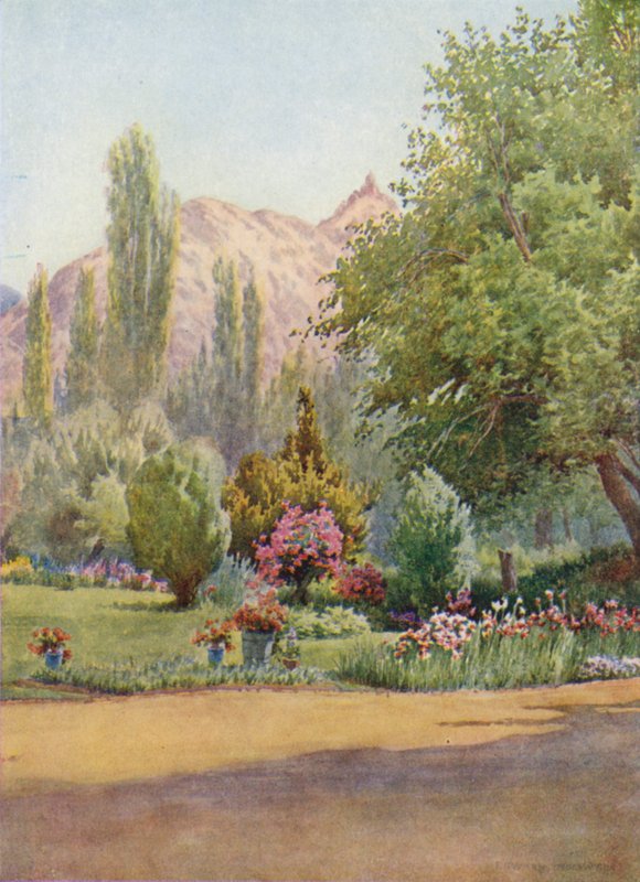 Takht-i-Suliman, z Residency Garden od Unbekannt Unbekannt
