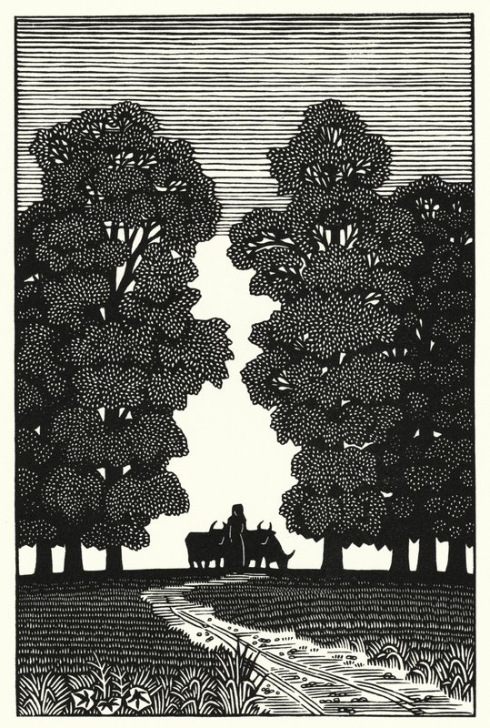Ilustrace pro Tess Of The D