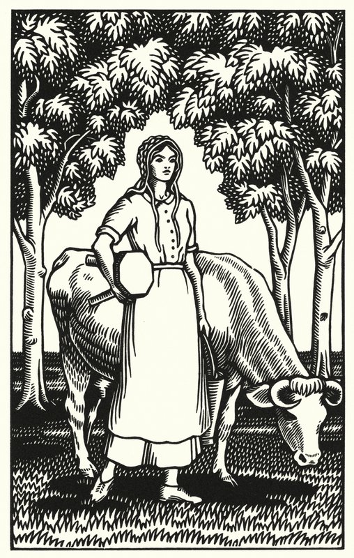 Ilustrace pro Tess Of The D