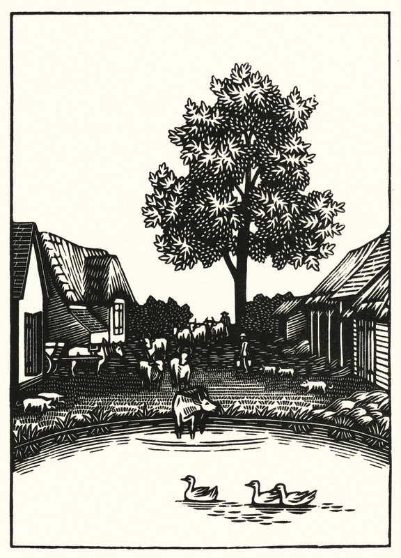 Ilustrace pro Tess Of The D