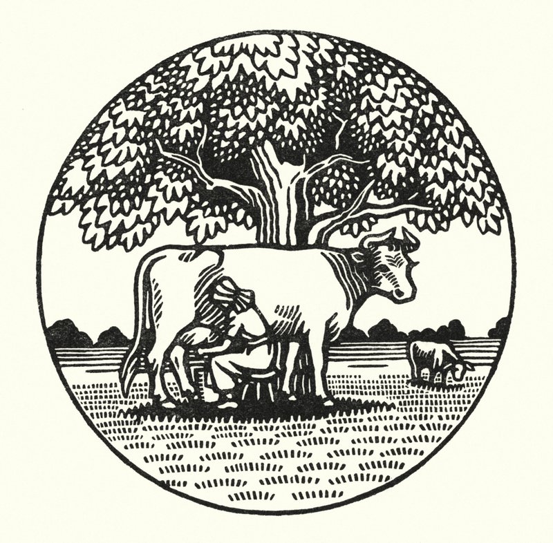 Ilustrace pro Tess Of The D