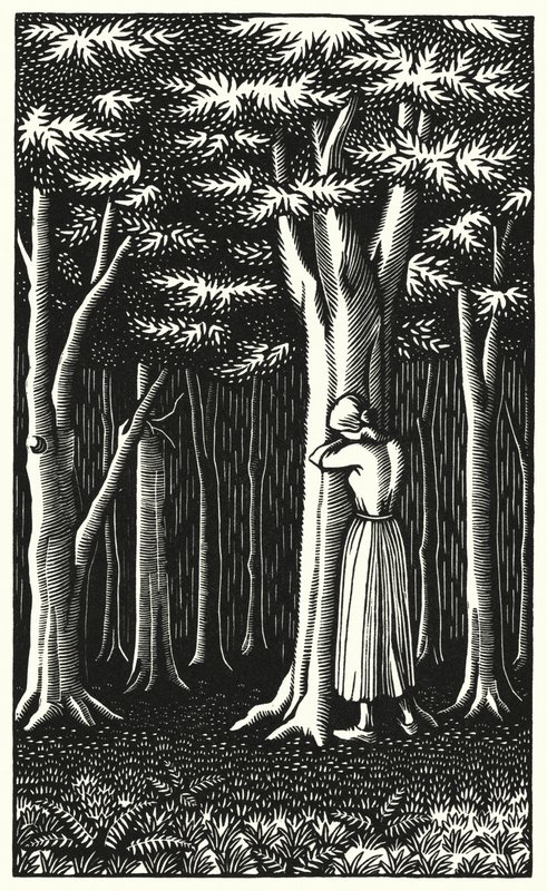 Ilustrace pro Tess Of The D