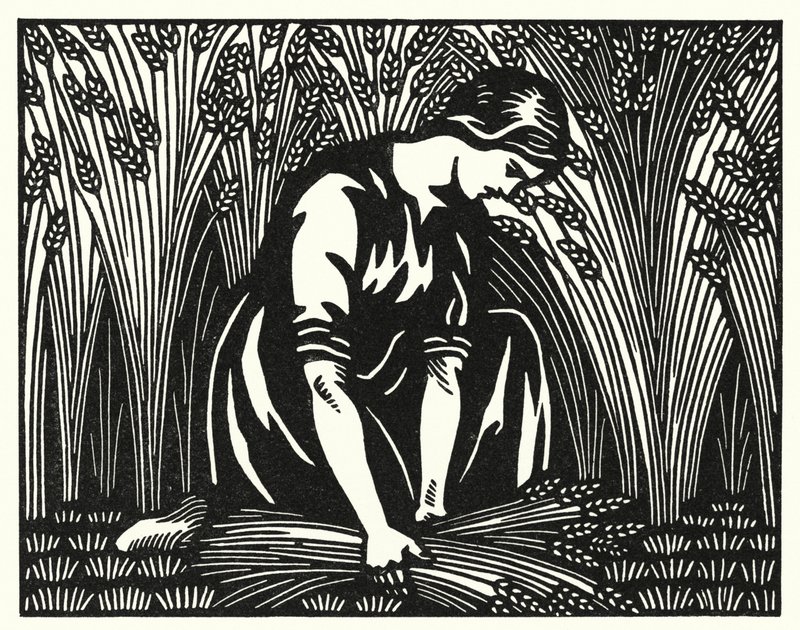 Ilustrace pro Tess Of The D