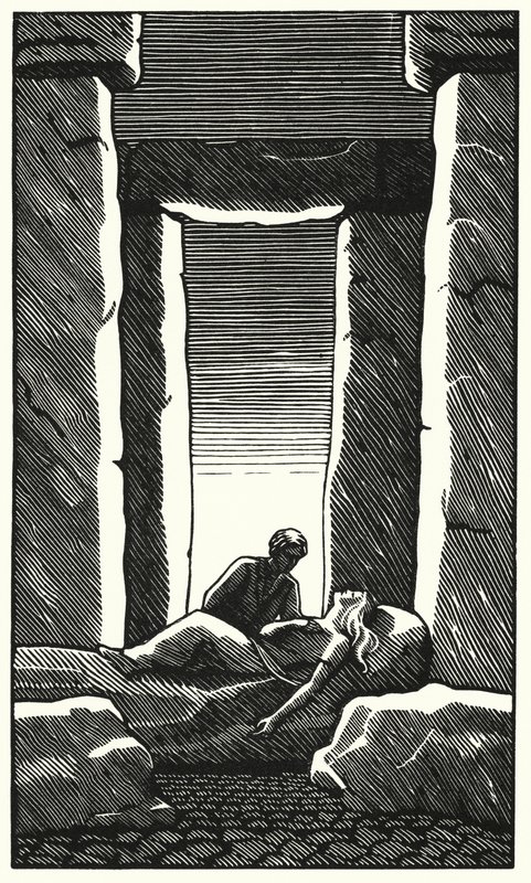 Ilustrace pro Tess Of The D