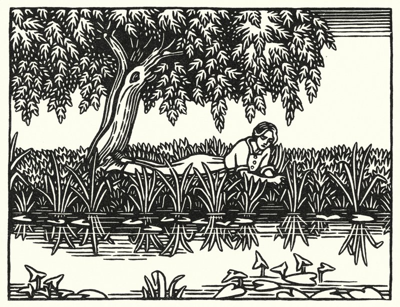 Ilustrace pro Tess Of The D