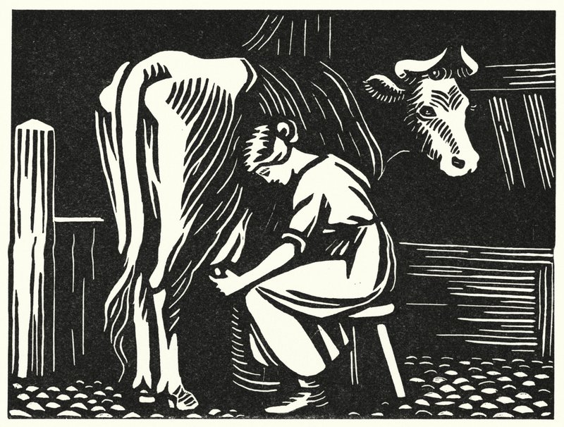 Ilustrace pro Tess Of The D