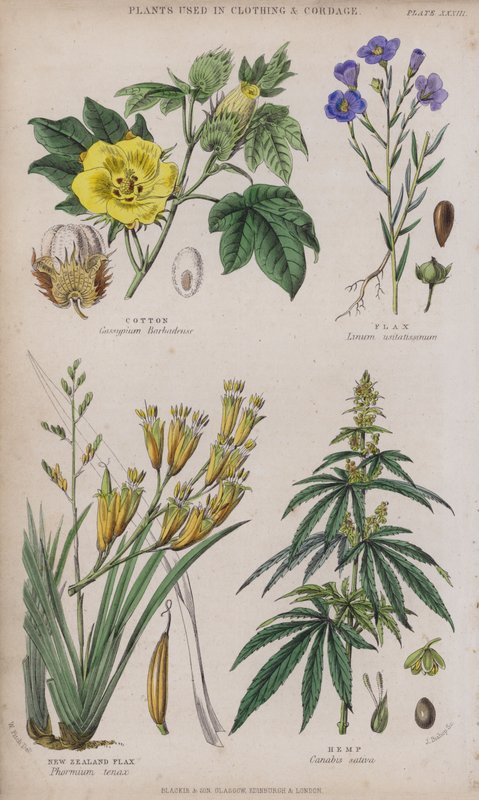 Závěsný od W. Fitch