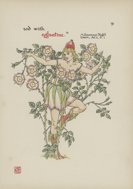 Květiny ze Shakespearovy zahrady od Walter Crane