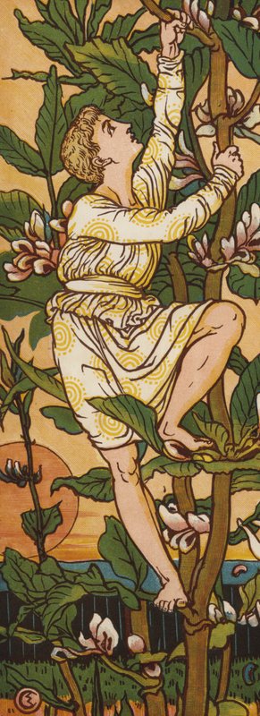 Jack a stonek fazole (barva litho) od Walter Crane