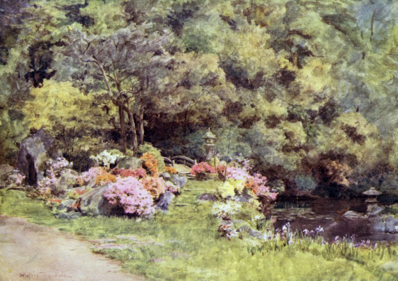 Azalky v Choin v Temple Gardens, Kyoto od Walter Frederick Roofe Tyndale