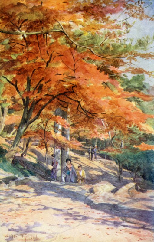 Maples v Omori, poblíž Tokia od Walter Frederick Roofe Tyndale