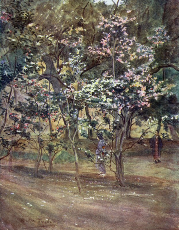 Single Camellias v Ueno Park, Tokio od Walter Frederick Roofe Tyndale