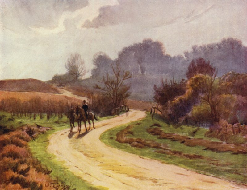 Nový les: Beaulieu, Lyndhurst (barevné lito) od Walter Frederick Roofe Tyndale