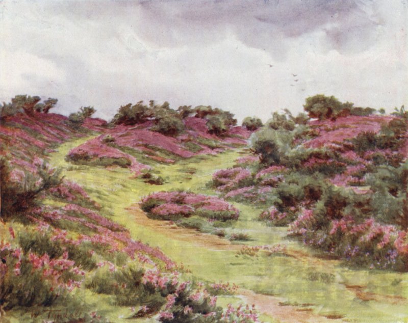 Závěsný od Walter Frederick Roofe Tyndale