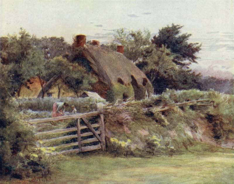The New Forest: Chata poblíž Brokenhurst (barevná lito) od Walter Frederick Roofe Tyndale
