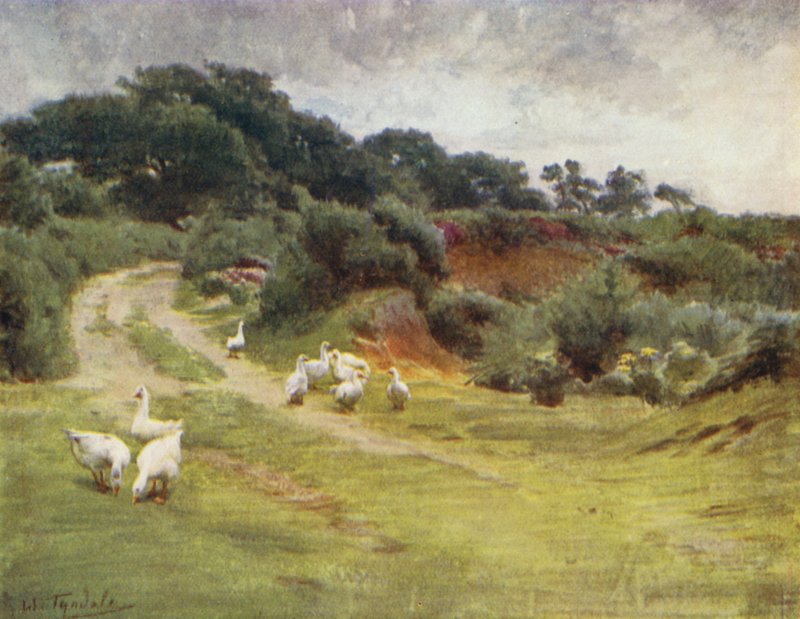 The New Forest: Royden Common, poblíž Brokenhurst (barevné lito) od Walter Frederick Roofe Tyndale