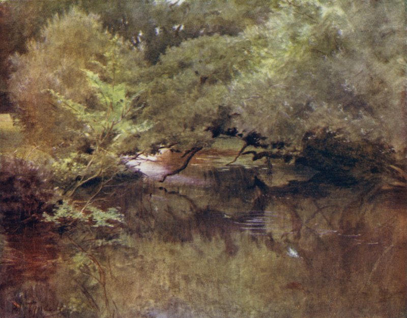 The New Forest: Řeka Lymington v Royden, poblíž Boldre (barevné lito) od Walter Frederick Roofe Tyndale