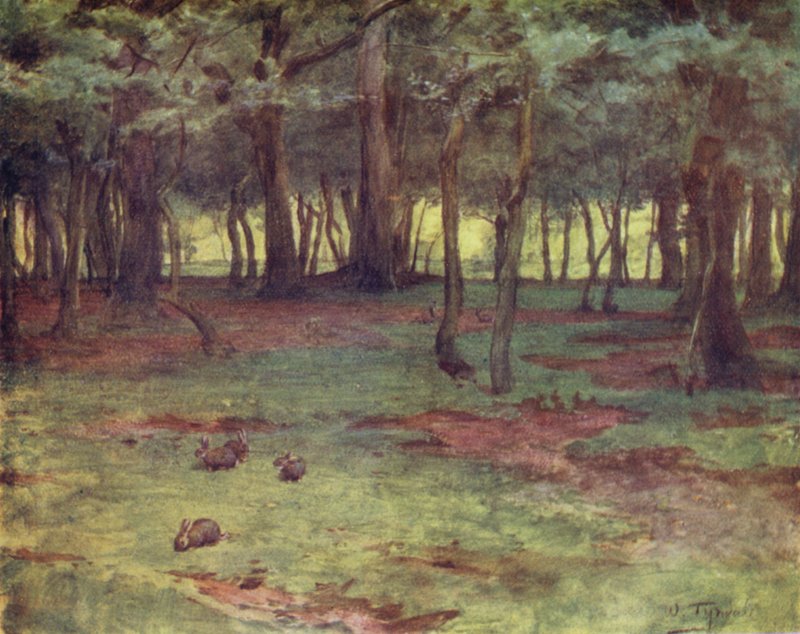 The New Forest: The Woods in Setley Plain (barevné lito) od Walter Frederick Roofe Tyndale