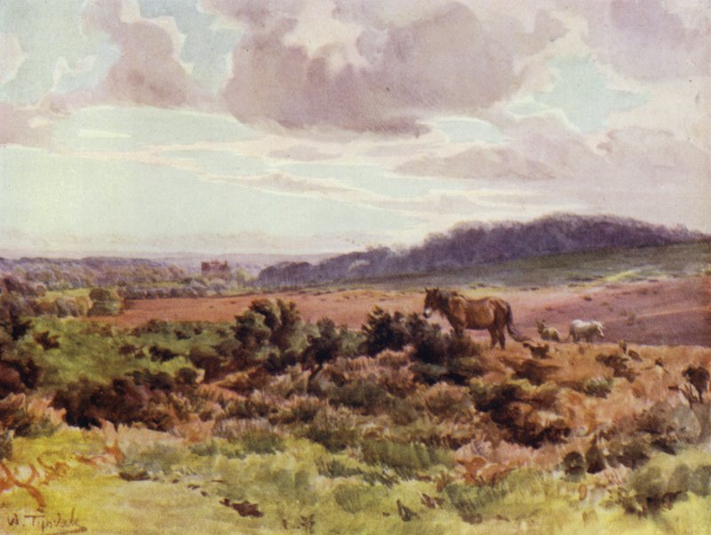 The New Forest: Pohled z Picket Post na Ringwood Road (barevné lito) od Walter Frederick Roofe Tyndale