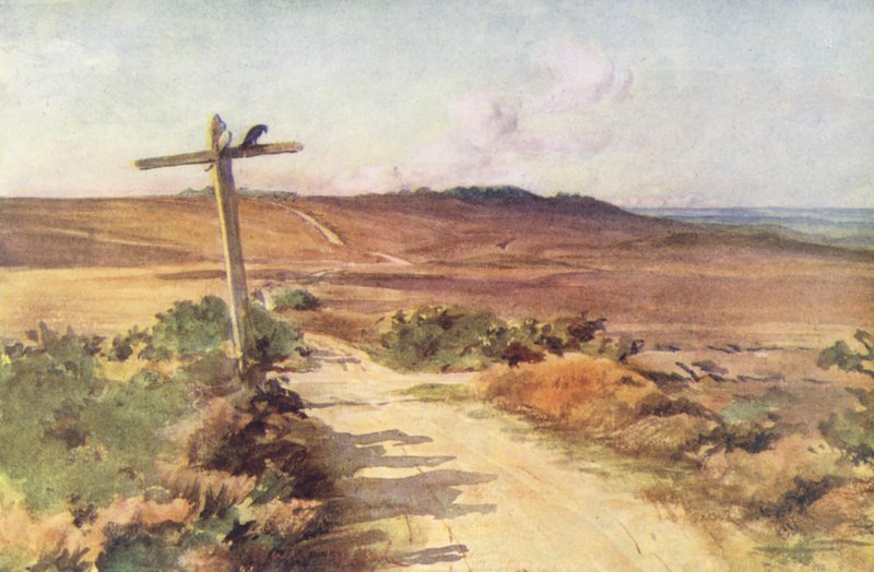 Wessex: Bere Heath na podzim, s Gallows Hill v dálce (barevná litografie) od Walter Frederick Roofe Tyndale