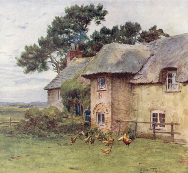 Wessex: Cottages at Stoke (barevná litografie) od Walter Frederick Roofe Tyndale