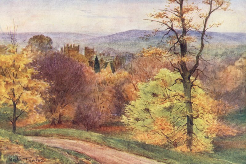 Wessex: Melbury Park (barevná litografie) od Walter Frederick Roofe Tyndale
