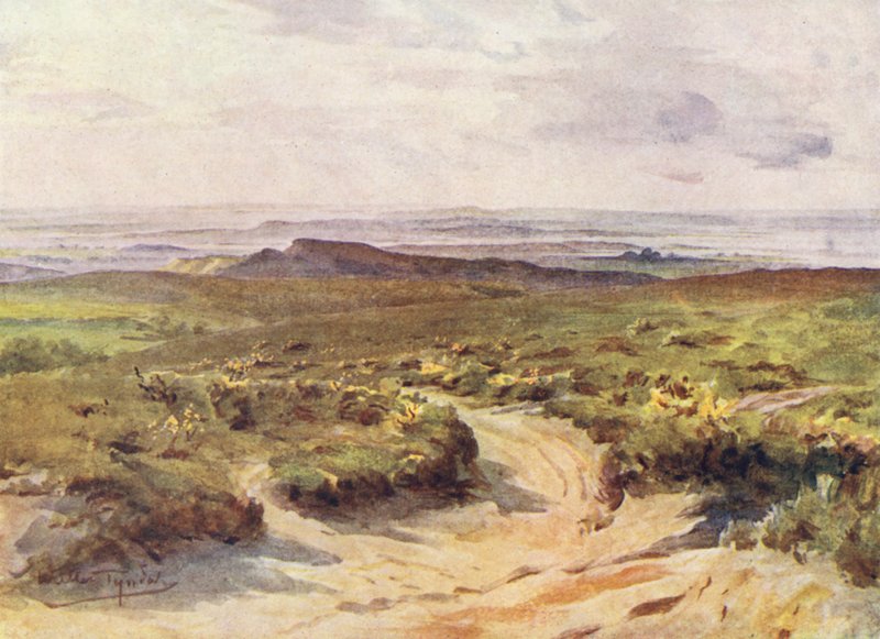 Wessex: Studland Heath, v dálce přístav Poole (barevná litografie) od Walter Frederick Roofe Tyndale