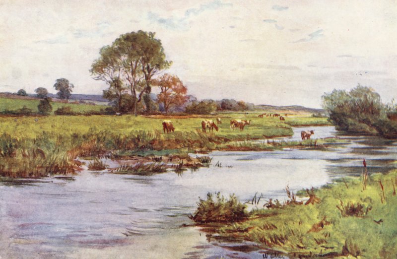 Wessex: Frome nad Dorchesterem, Casterbridge (barevná litografie) od Walter Frederick Roofe Tyndale