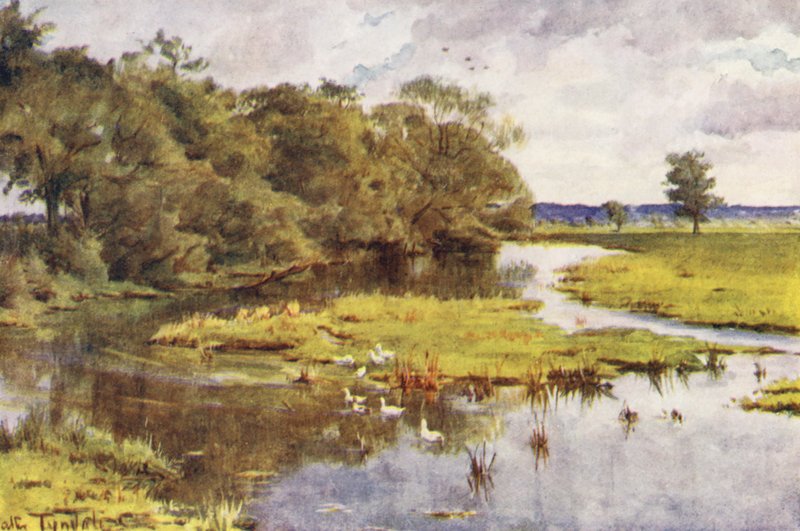 Wessex: Frome od Bockhampton Bridge (barevná litografie) od Walter Frederick Roofe Tyndale