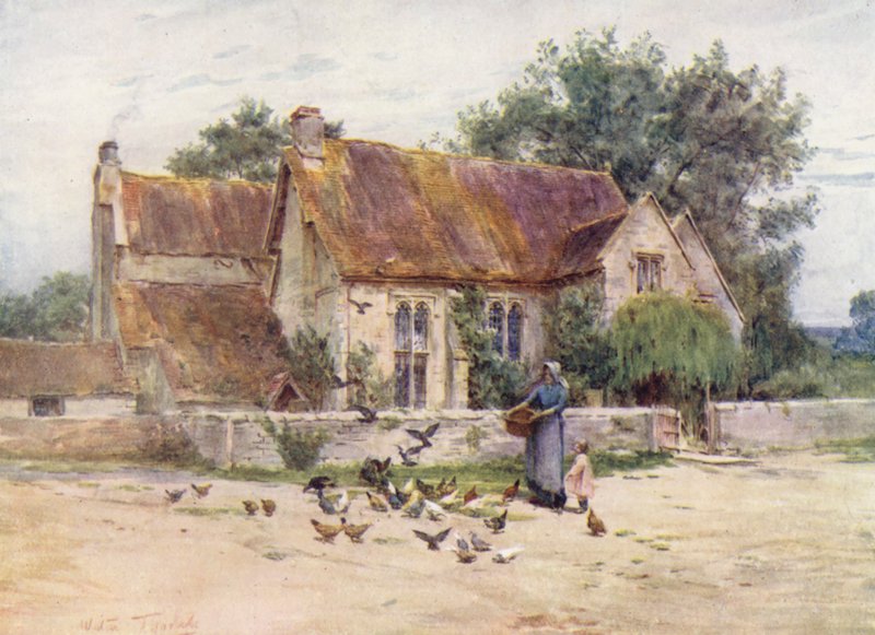 Wessex: Woodlands near Mere, Wilts (barevná litografie) od Walter Frederick Roofe Tyndale