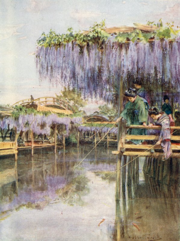 Wistaria v Kameido od Walter Frederick Roofe Tyndale