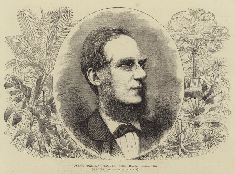Joseph Dalton Hooker, CB, DCL, LLD atd. od Walter Granville Smith