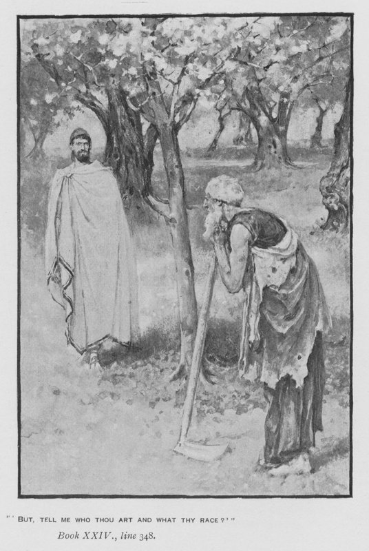 Ilustrace k Pope